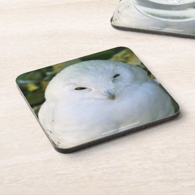 Snowy Owl Coaster (Left Side)