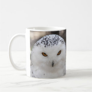 Snowy Owl Coffee Mug