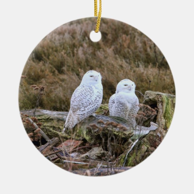 Snowy Owl Couple Ceramic Tree Decoration (Front)