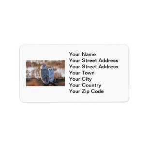 Snowy Owl Couple Label