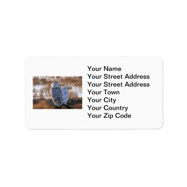 Snowy Owl Couple Label (Front)