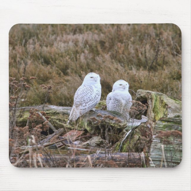 Snowy Owl Couple Mouse Mat (Front)