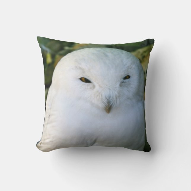 Snowy Owl Cushion (Front)