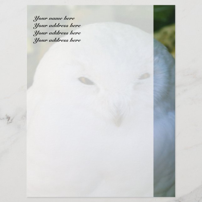 Snowy Owl Custom Letterhead (Front)