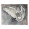 Snowy Owl Descent Watercolor Wildlife Artwork