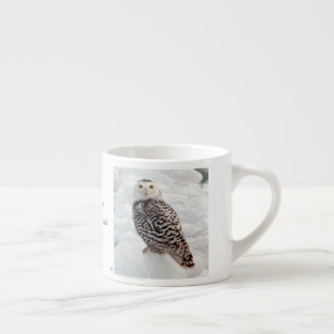 Snowy Owl espresso mug