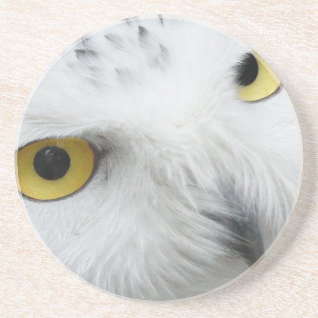 Snowy Owl Eyes Coaster (Front)