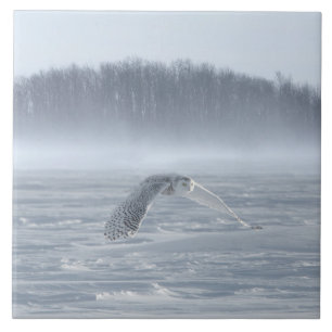 Snowy Owl Flying In Winter Tile