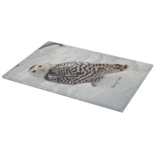 Snowy Owl glass cutting board
