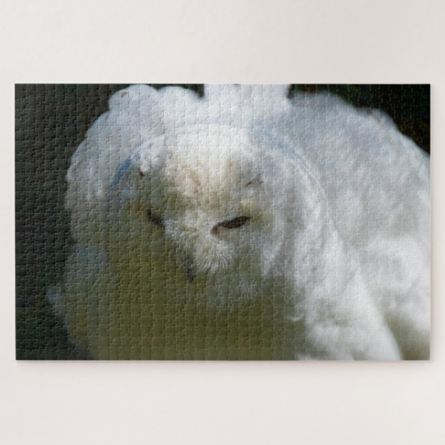 Snowy Owl Goes Floof Super Challenging Bird Lover Jigsaw Puzzle (Horizontal)