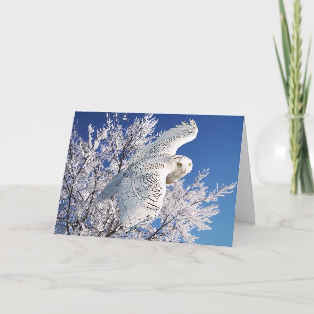 "Snowy Owl" Greeting Card (Front)