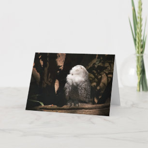 Snowy Owl • Greeting Card