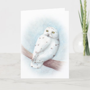 Snowy Owl Holiday Card