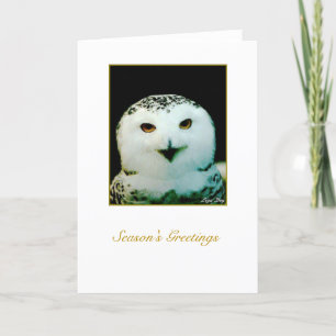 Snowy Owl Holiday Card - Blank Inside