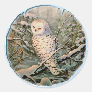 SNOWY OWL & ICICLES by SHARON SHARPE Classic Round Sticker