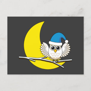 Snowy Owl in a New Moon Winter Night Holiday Postcard