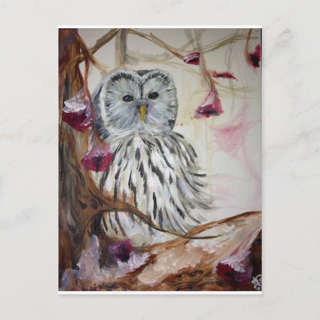 Snowy Owl in a Tree Postcard (Front)