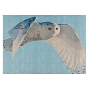 Snowy Owl in flight Cutting Board