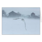 Snowy Owl In Flight In Winter
