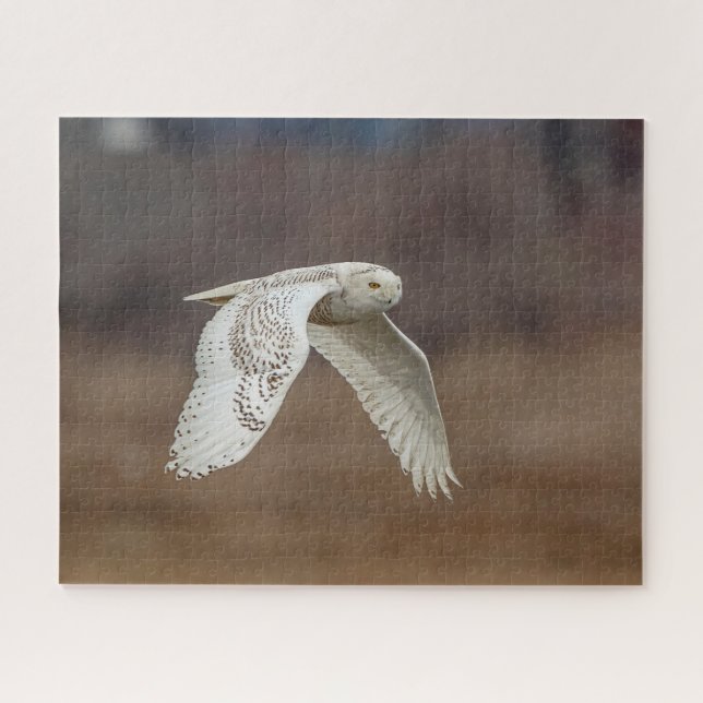 Snowy owl in flight jigsaw puzzle (Horizontal)