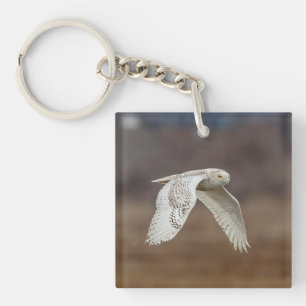 Snowy owl in flight key ring