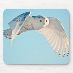 Snowy Owl in flight Mouse Mat