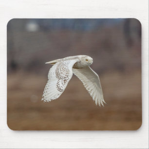 Snowy owl in flight mouse mat