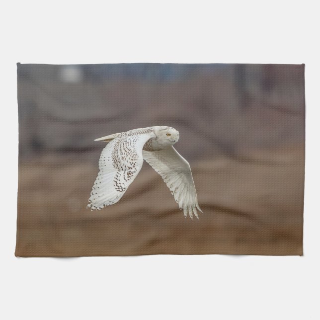 Snowy owl in flight tea towel (Horizontal)