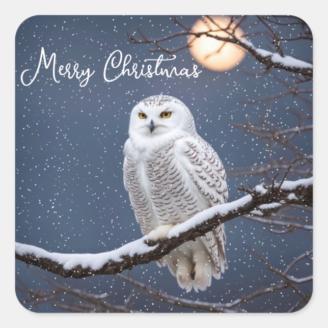 Snowy Owl In Snowflakes Square Sticker (Front)