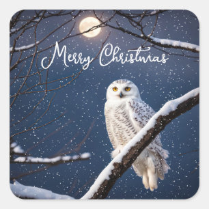 Snowy Owl In Snowflakes Square Sticker