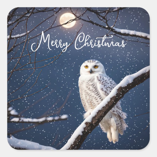 Snowy Owl In Snowflakes Square Sticker (Front)