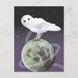 Snowy owl in the moonlight postcard