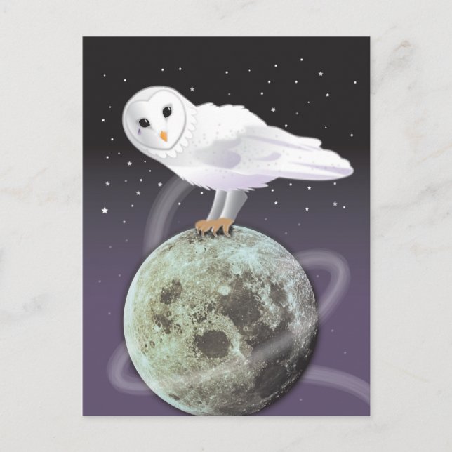 Snowy owl in the moonlight postcard (Front)
