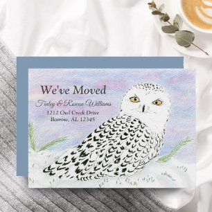 Snowy Owl In Winter Sunset Colour Pencil Moving Announcement