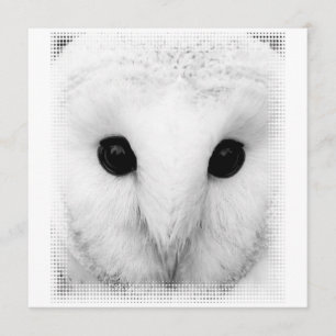 Snowy Owl Invitation