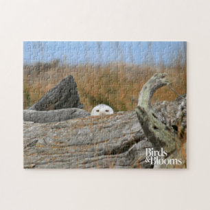 Snowy Owl Jigsaw Puzzle