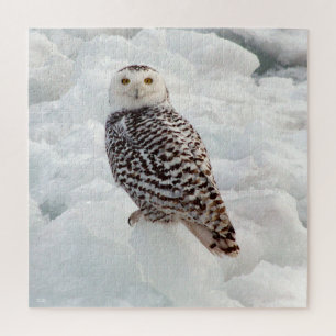 Snowy Owl jigsaw puzzle