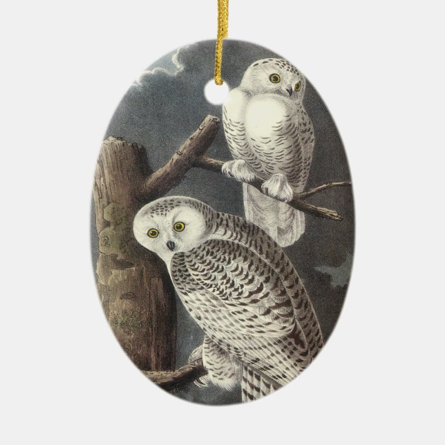 Snowy Owl, John Audubon Ceramic Tree Decoration (Front)