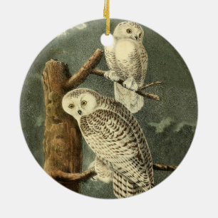 Snowy Owl John James Audubon Vintage Illustration Ceramic Tree Decoration