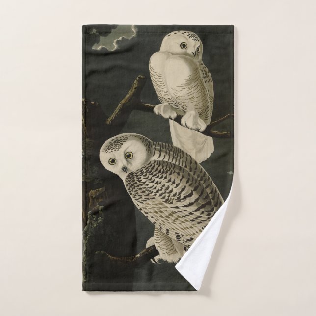 Snowy Owl, John James Audubon's Birds of America Bath Towel Set (Hand Towel)