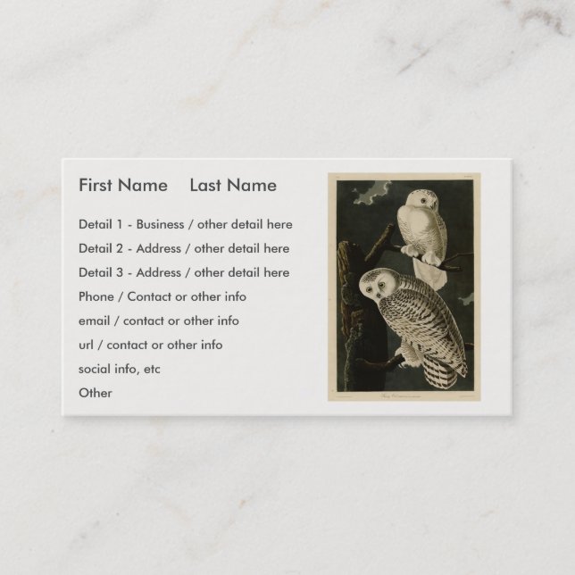 Snowy Owl, John James Audubon's Birds of America Business Card (Front)