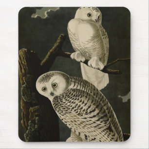 Snowy Owl, John James Audubon's Birds of America P Mouse Mat