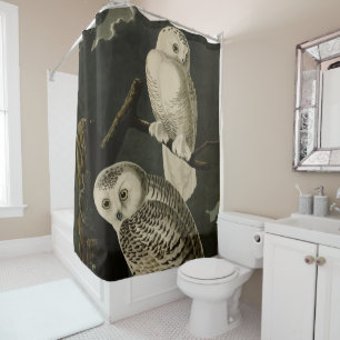 Snowy Owl, John James Audubon's Birds of America Shower Curtain