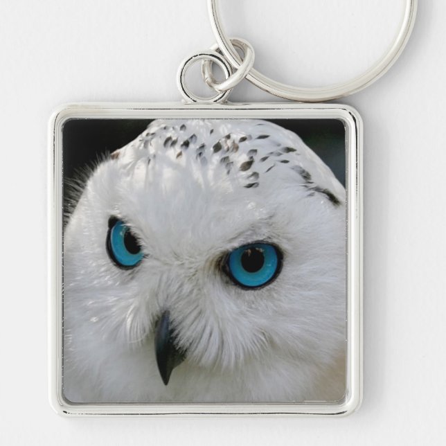 Snowy Owl Key Ring (Front)