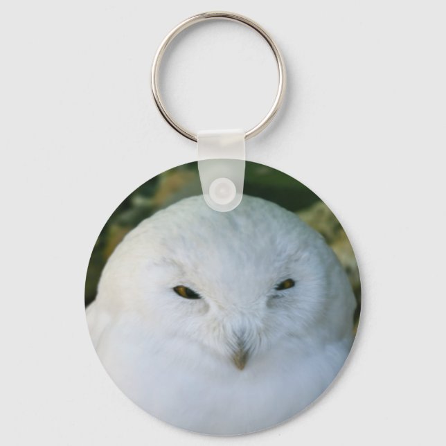 Snowy Owl Key Ring (Front)