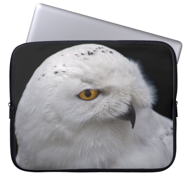 Snowy Owl Laptop Sleeve (Front)