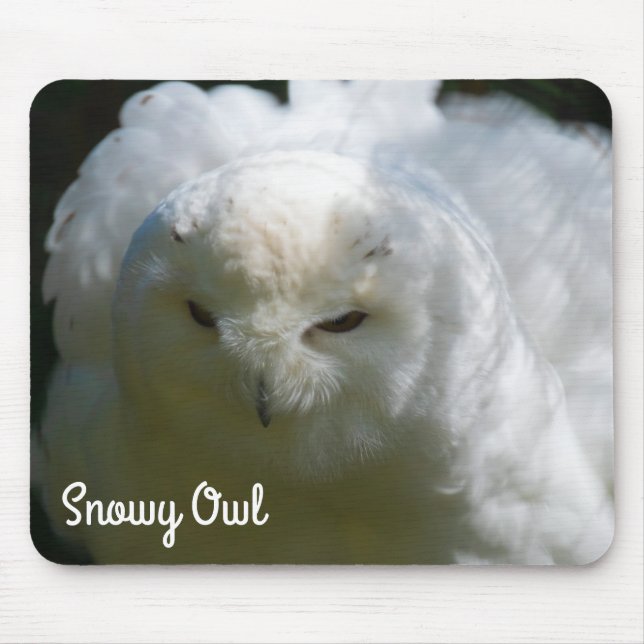 Snowy Owl Mouse Mat (Front)