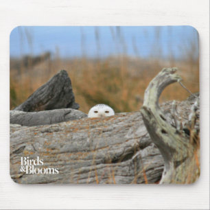 Snowy Owl Mouse Mat