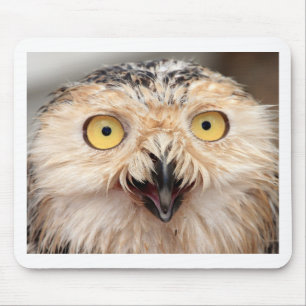 Snowy Owl Mouse Mat