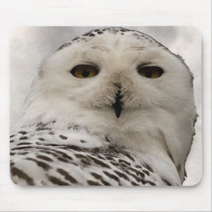 snowy owl mouse mat